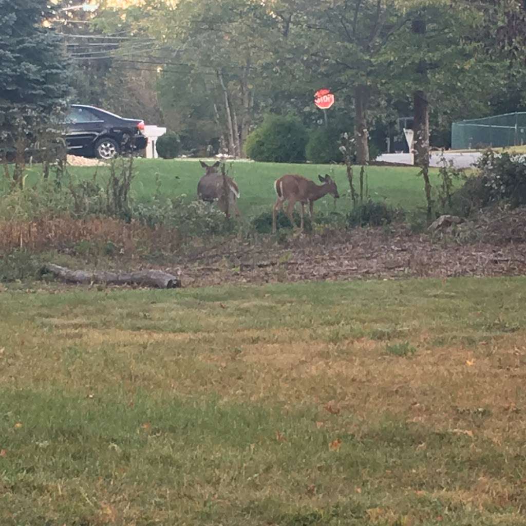 Possumtown Park | 50 3rd Ave, Piscataway Township, NJ 08854, USA | Phone: (732) 562-2382