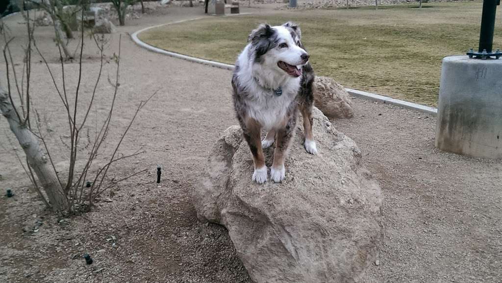 Bark Park at Heritage Park | 350 S Racetrack Rd, Henderson, NV 89015, USA | Phone: (702) 267-2350