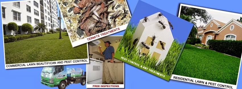 Tri-S Pest Control | 802 W Waters Ave, Tampa, FL 33604, USA | Phone: (813) 547-5850