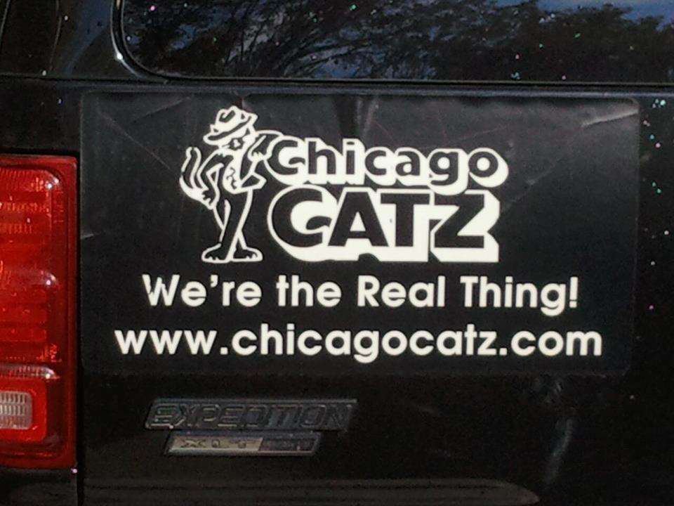 Chicago Catz | 3712 N Kedvale Ave, Chicago, IL 60641, USA | Phone: (773) 202-1664