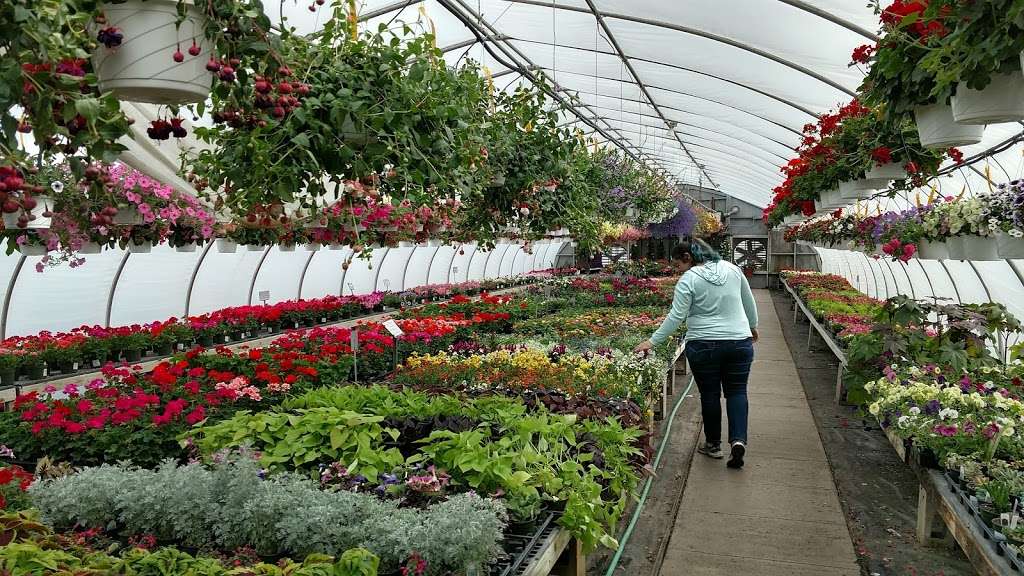 Sappers Market & Greenhouses | 5959, 1155 S Lake Park Ave, Hobart, IN 46342, USA | Phone: (219) 942-4995