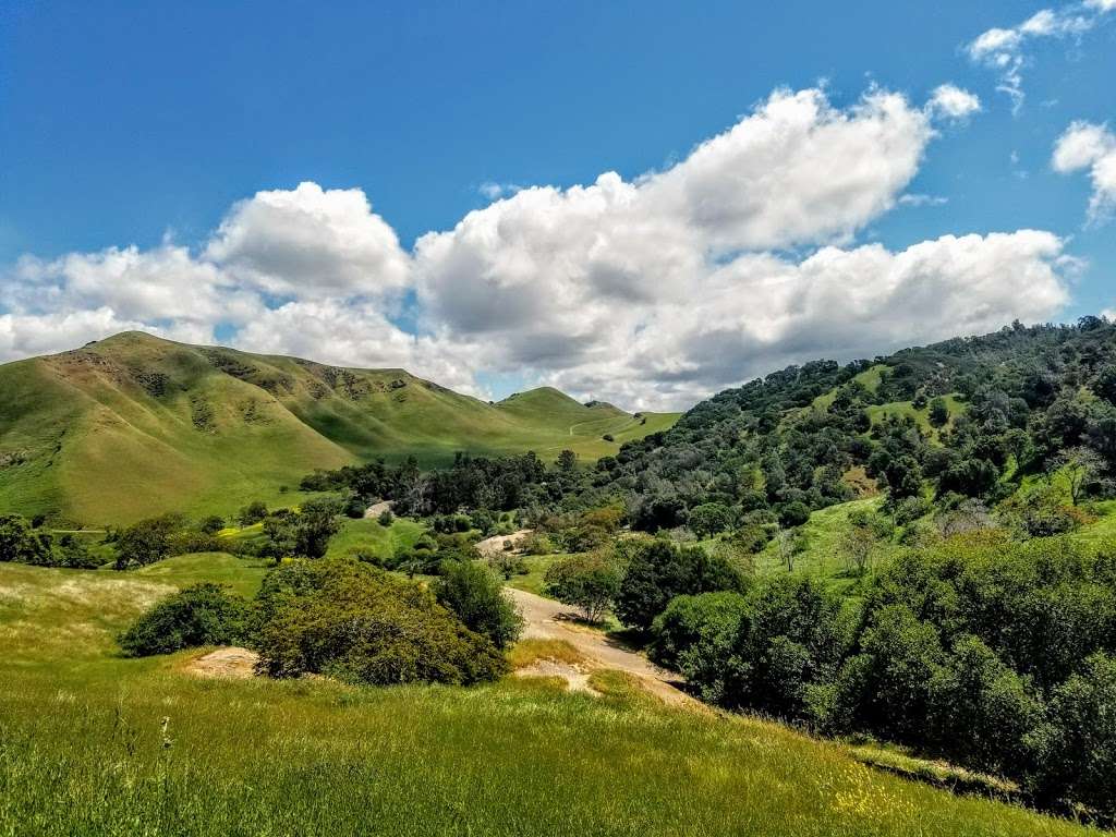 Black Diamond Mines Regional Preserve | 5175 Somersville Rd, Antioch, CA 94509, USA | Phone: (510) 544-2750