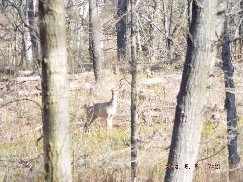 John Merle Coulter Nature Preserve | Portage, IN 46368 | Phone: (219) 242-8558