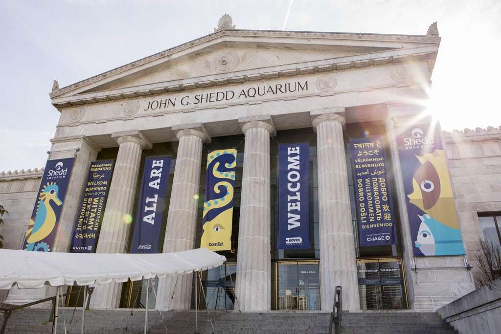 Shedd Aquarium | 1200 S Lake Shore Dr, Chicago, IL 60605 | Phone: (312) 939-2438