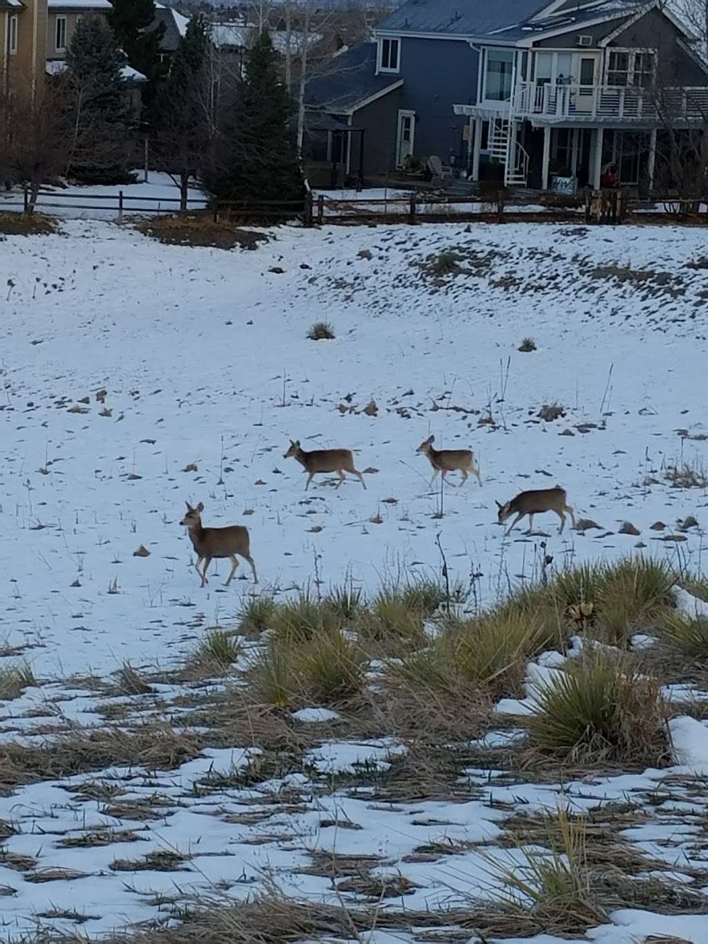 Carriage Club Estates Park | 10761 Dunsford Dr, Lone Tree, CO 80124 | Phone: (303) 798-5131