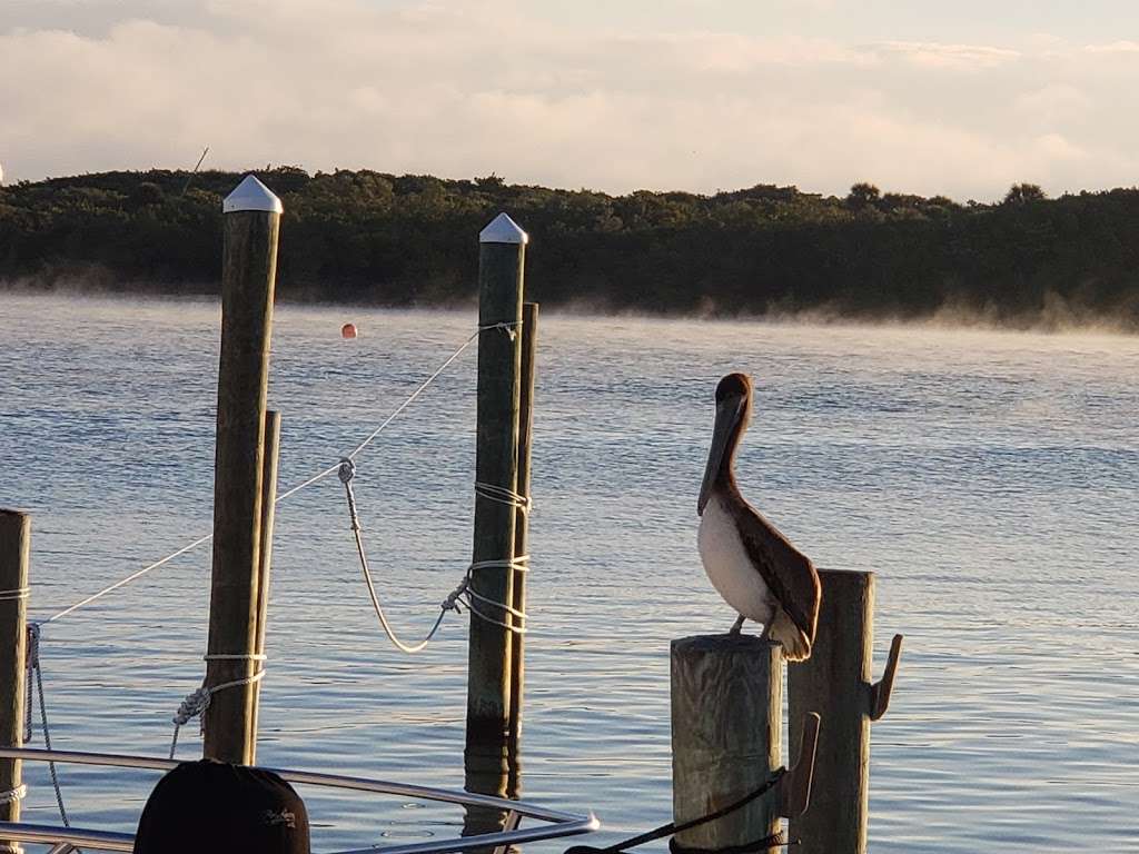 Jupiter LightHouse Charters | 18487 SE Federal Hwy Blowing Rocks Marina, Tequesta, FL 33469, USA | Phone: (561) 260-1185