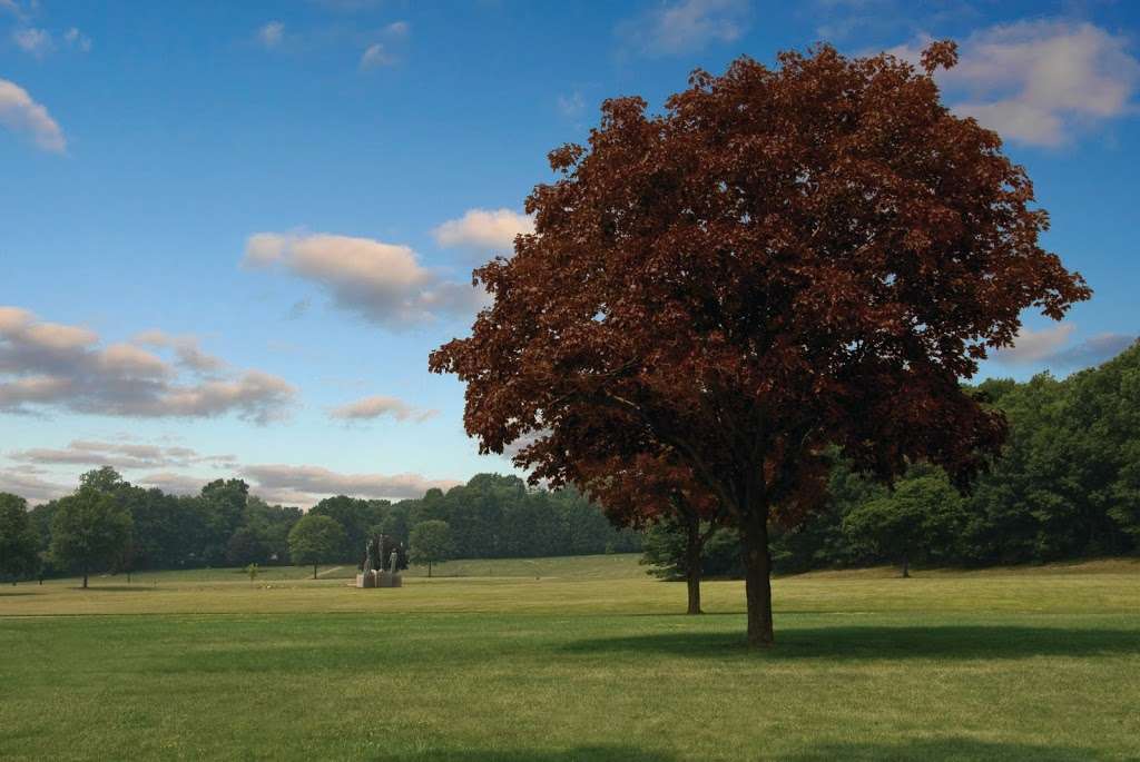 Christ The King Cemetery | 980 Huron Rd, Franklin Lakes, NJ 07417, USA | Phone: (201) 891-9191