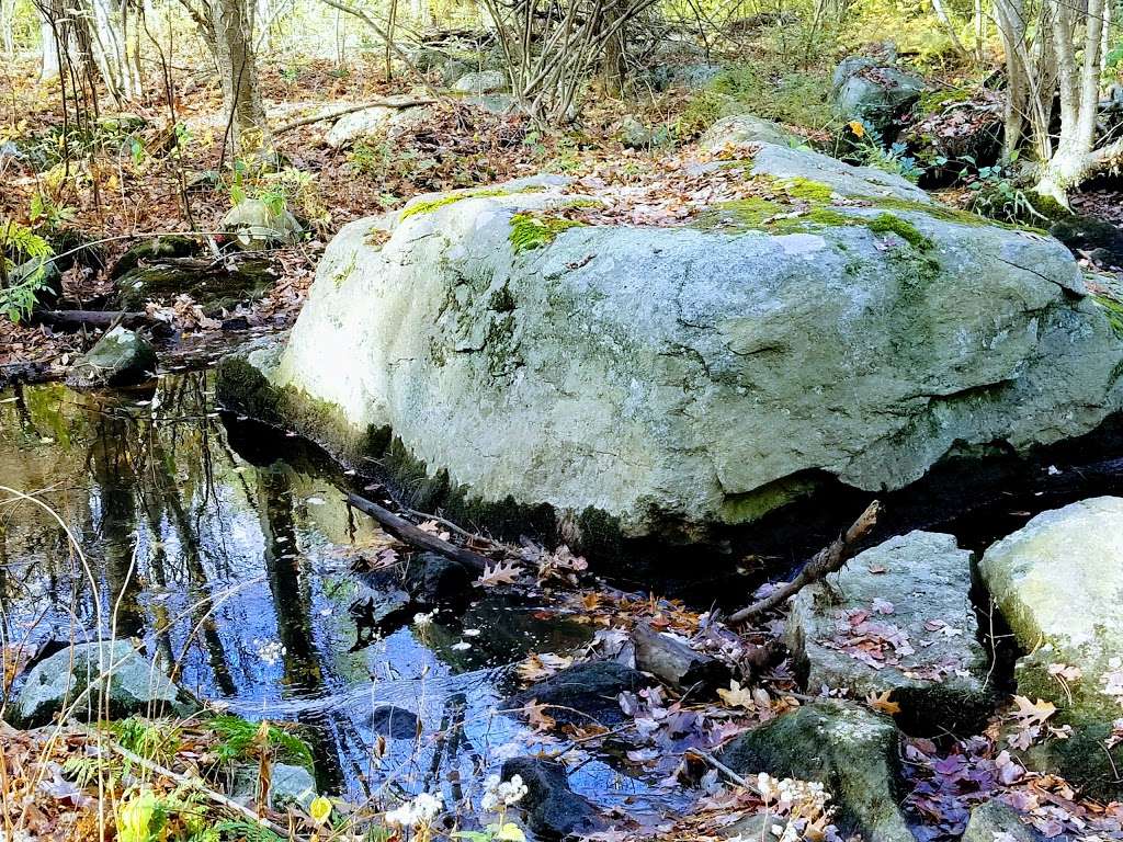 Pratts Brook Conservation Area | 108R Parker St, Acton, MA 01720, USA | Phone: (978) 929-6634