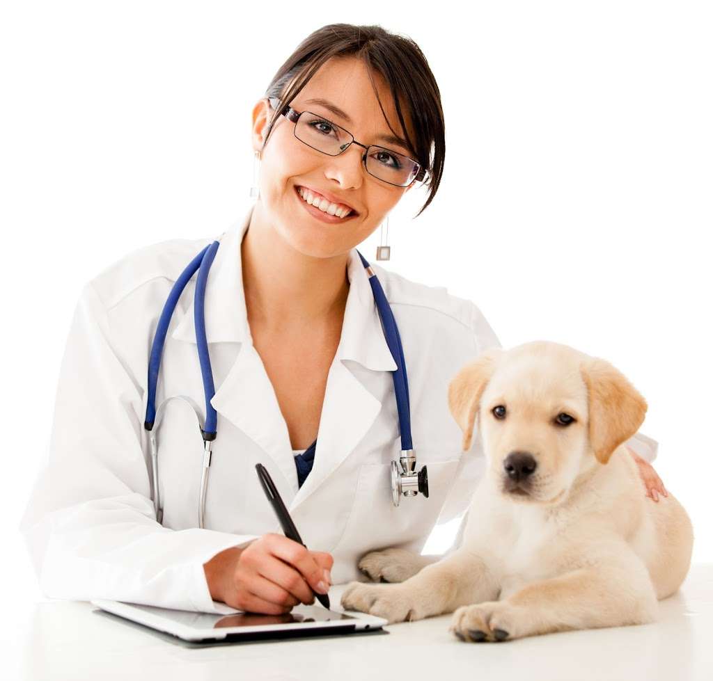 ST FRANCIS EMERGENCY ANIMAL HOSPITAL | 6602 Pines Blvd, Pembroke Pines, FL 33024 | Phone: (954) 962-0300