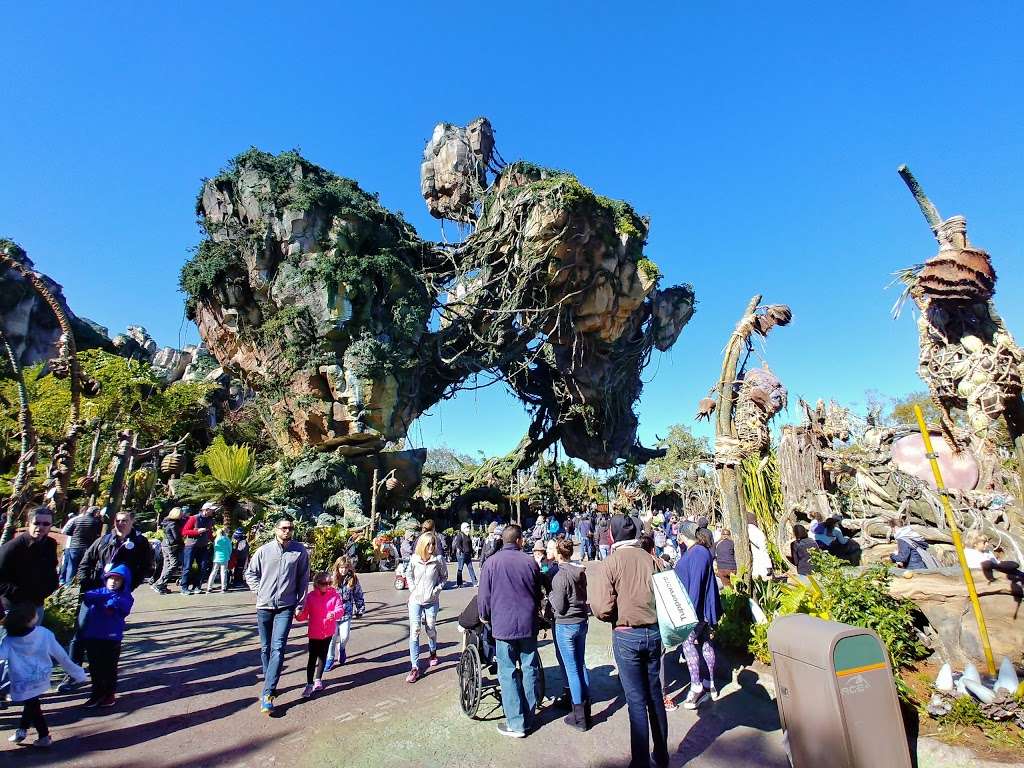 Avatar Flight of Passage | 2901 Osceola Pkwy Suite C, Orlando, FL 32830, USA | Phone: (407) 939-5277