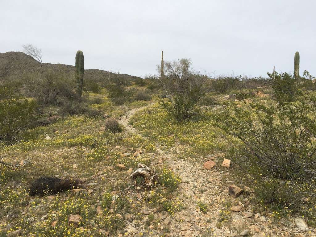 Mountain Park Ranch Hiking Trail | 2838 E Ray Rd, Phoenix, AZ 85048, USA