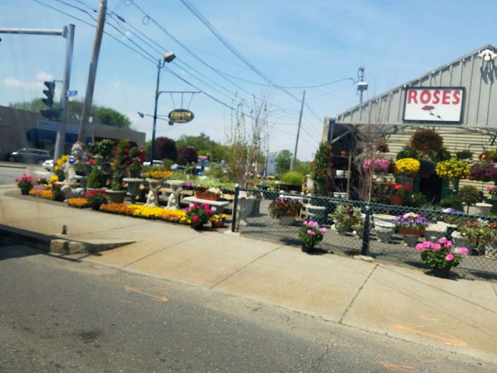 OBriens Farm Hill Florist & Garden Center | 224 Main St, Stoneham, MA 02180, USA | Phone: (781) 438-4564