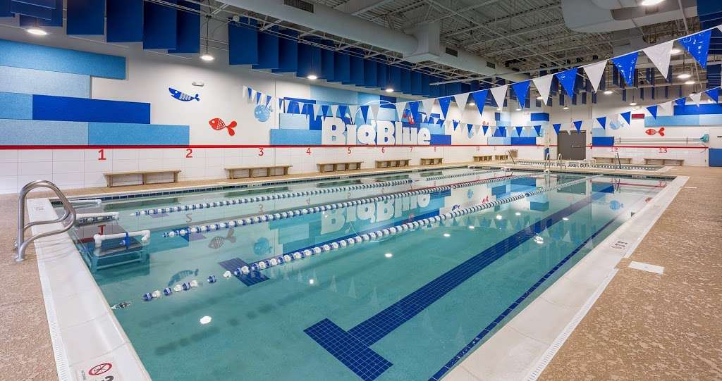 Big Blue Swim School - Wilmette | Photo 3 of 10 | Address: 3232 Lake Ave, Wilmette, IL 60091, USA | Phone: (847) 729-7665