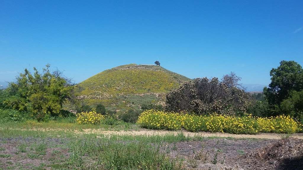 Tarantula Hill | 287 W Gainsborough Rd, Thousand Oaks, CA 91360, USA