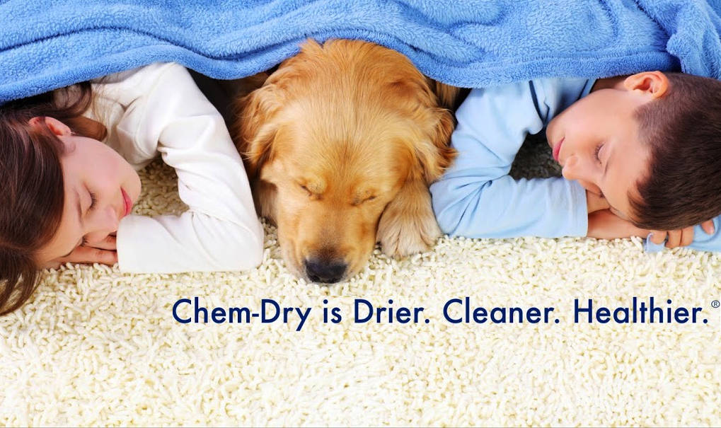 American Chem-Dry | 20 Commercial Dr #4, Wrentham, MA 02093, USA | Phone: (508) 384-2254