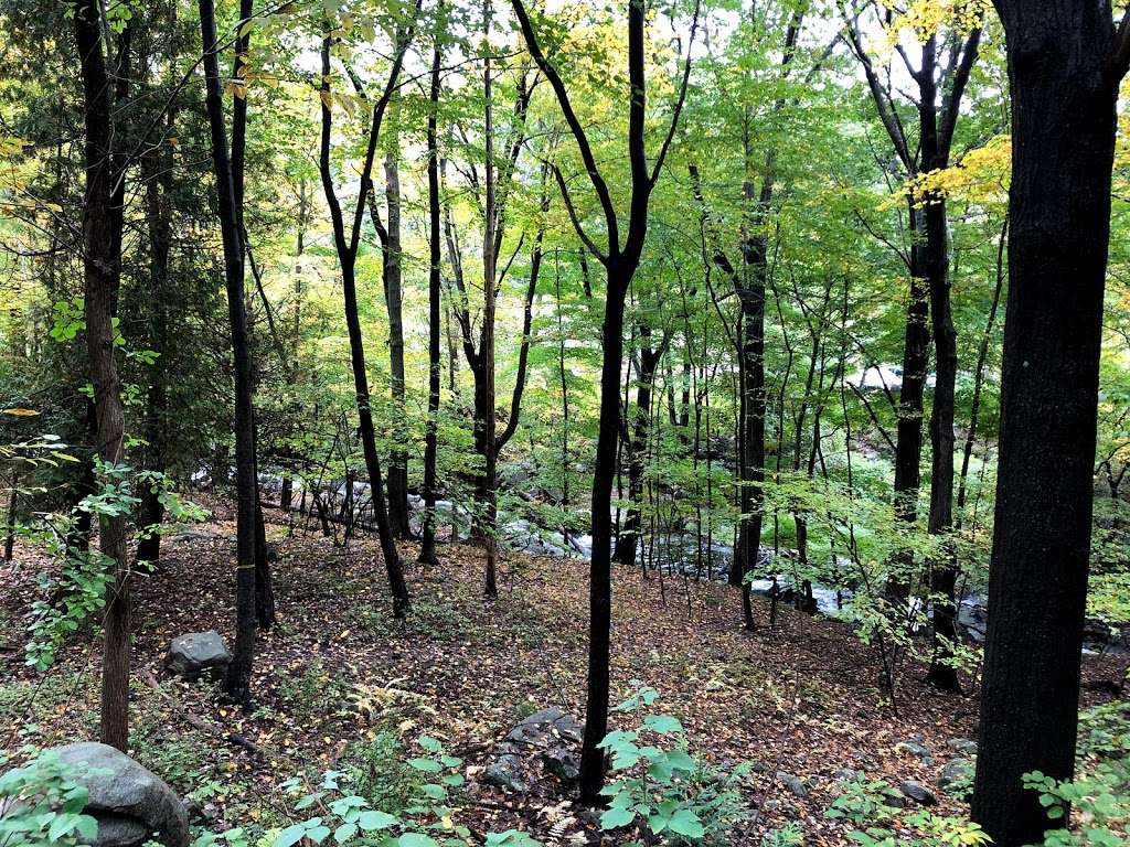 Big Hill & Jackie Jones Mountain trail | Stony Point, NY 10980