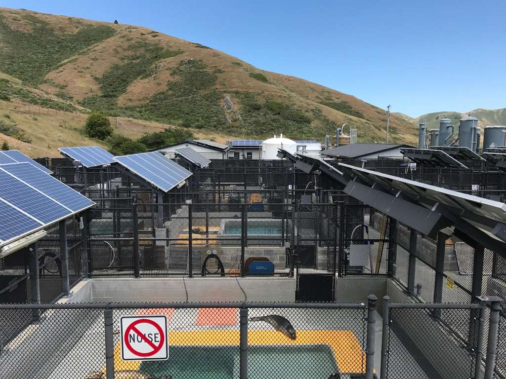The Marine Mammal Center | 2000 Bunker Rd, Sausalito, CA 94965, USA | Phone: (415) 289-7325