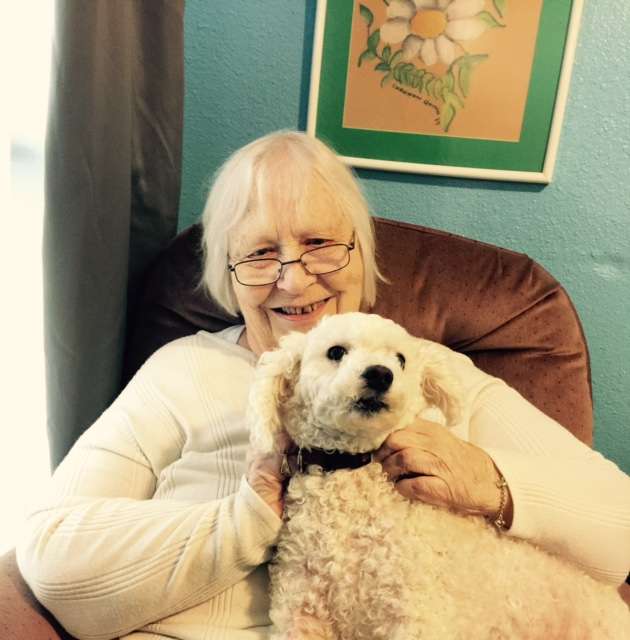 Starlight Homes | 4623 Briardale St, San Antonio, TX 78217, USA | Phone: (210) 336-2649