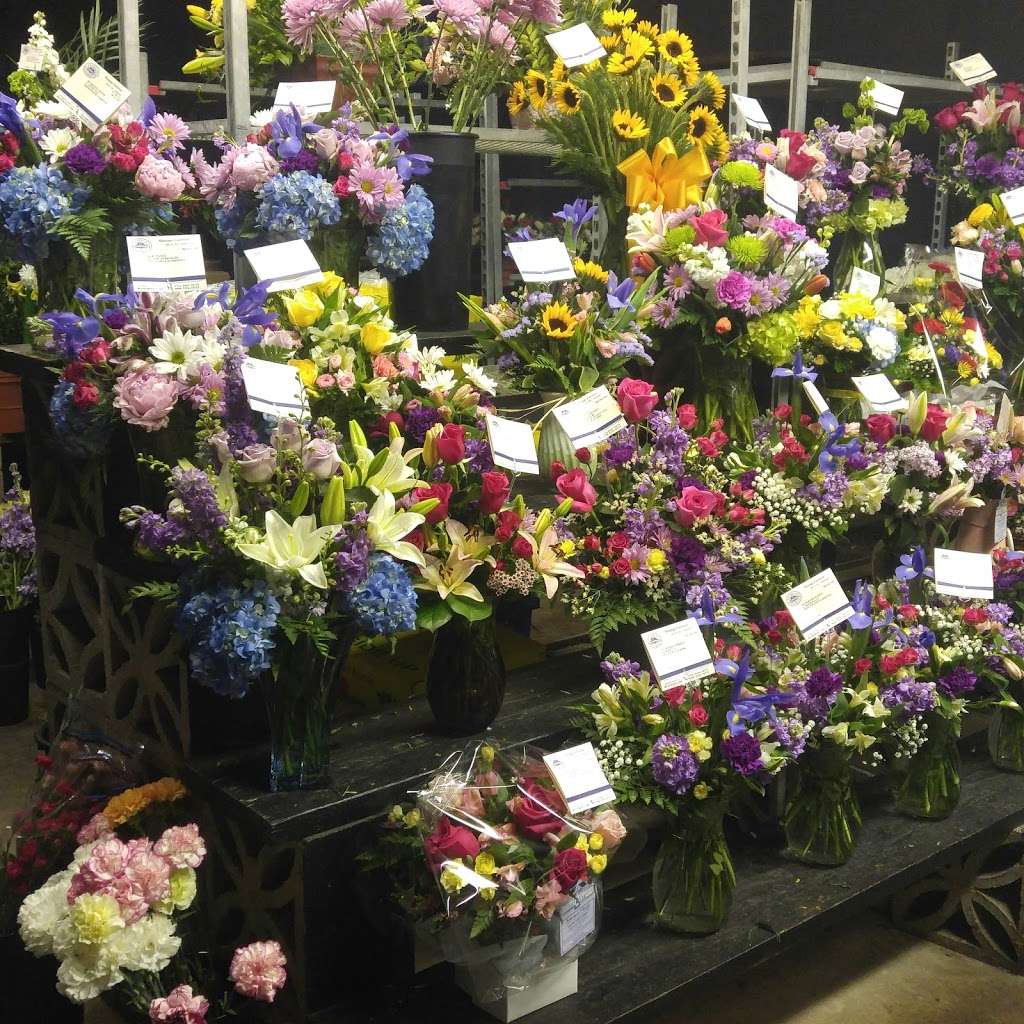 Americas Florist | 227 W Union Ave, Bound Brook, NJ 08805, USA | Phone: (732) 356-9377