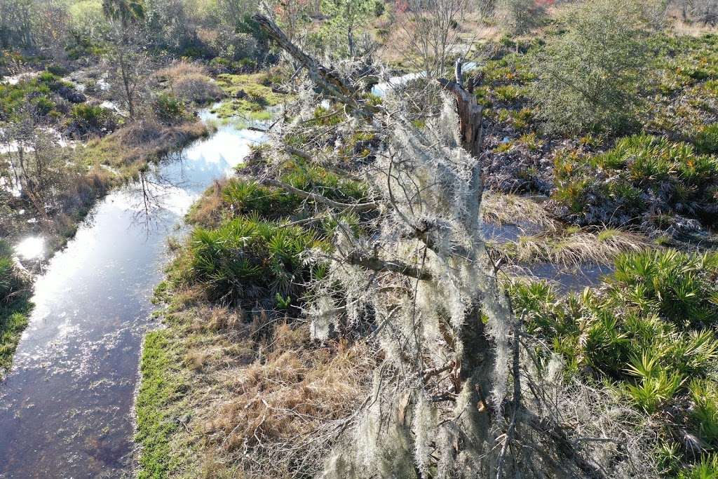 Lakeland Highlands Scrub | 6998 Lakeland Highlands Rd, Lakeland, FL 33813, USA | Phone: (863) 534-7377