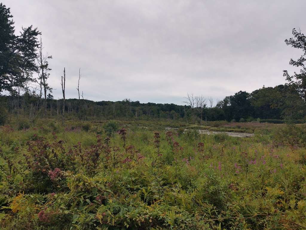 Fish Brook Reservation | 275 Chandler Rd, Andover, MA 01810, USA