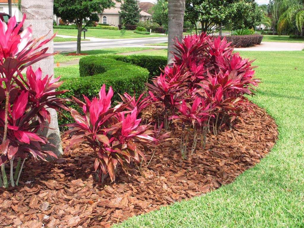 G & Anthony Maintenance and Irrigation contractor | 236 E Cypress St, Winter Garden, FL 34787, USA | Phone: (407) 394-3258