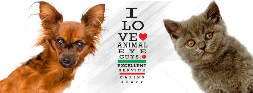 Animal Eye Guys - Coral Springs | 2160 N Univeristy Drive, Coral Springs, FL 33071 | Phone: (954) 990-7743