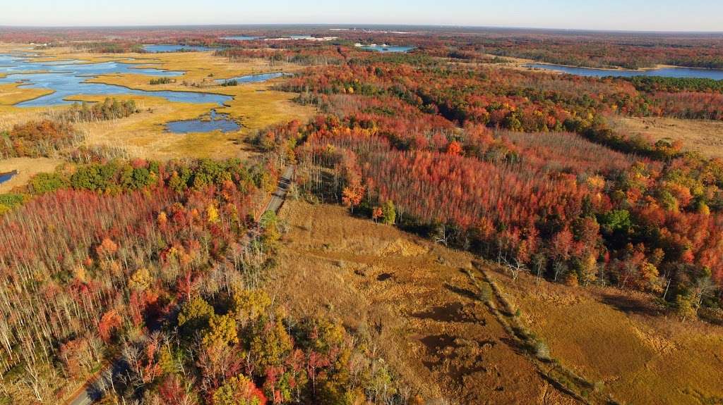 Natural Lands Glades Wildlife Refuge | Turkey Point Rd, Newport, NJ 08345, USA | Phone: (856) 825-9952