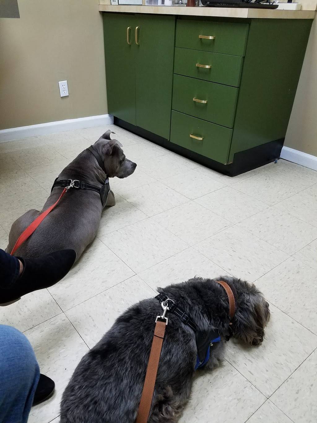 Affton Veterinary Clinic | 8455 Gravois Rd, Affton, MO 63123, USA | Phone: (314) 352-8600