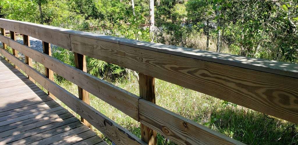 Hammock Trails -Oak Hammock , Palm Hammock | Florida, USA