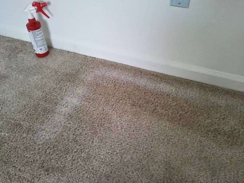 Langenwalter Carpet Cleaning | 4521 W 99th St, Carmel, IN 46032 | Phone: (317) 876-9944