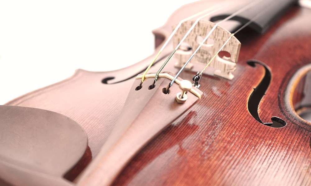 West Coast String Instruments | 13120 Spring St, Baldwin Park, CA 91706, USA | Phone: (626) 962-8888