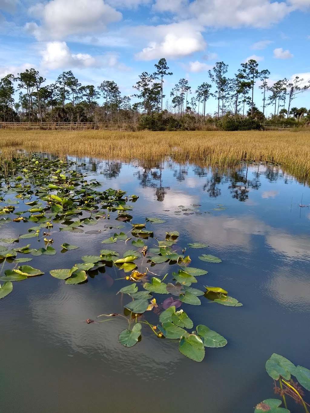 Cypress Creek South Natural Area | 9424 W Indiantown Rd, Jupiter, FL 33478, USA | Phone: (561) 233-2400