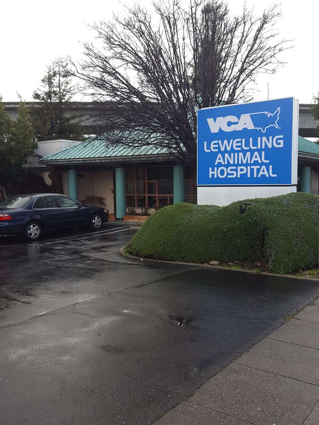 VCA Lewelling Animal Hospital | 525 Lewelling Blvd, San Leandro, CA 94579, USA | Phone: (510) 357-4227