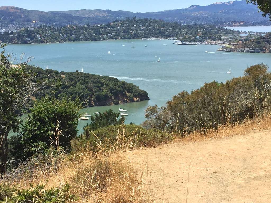 Tiburon Ferry Terminal | Tiburon, CA 94920