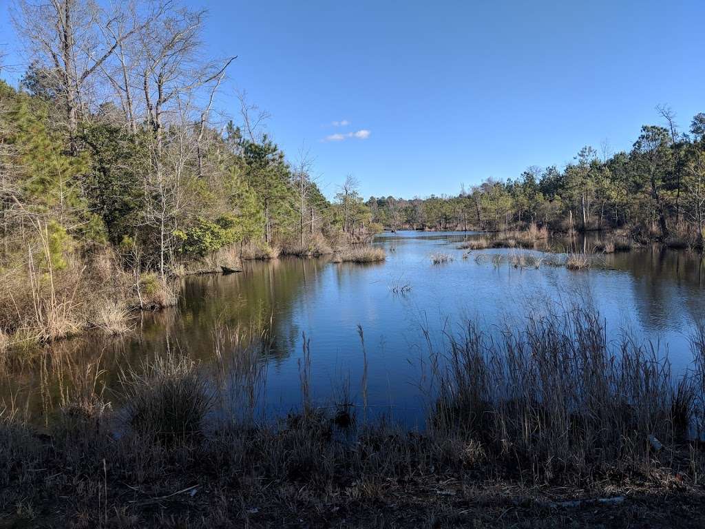 Tubman Road Hiking Trail | 4, Taylors Island, MD 21622, USA