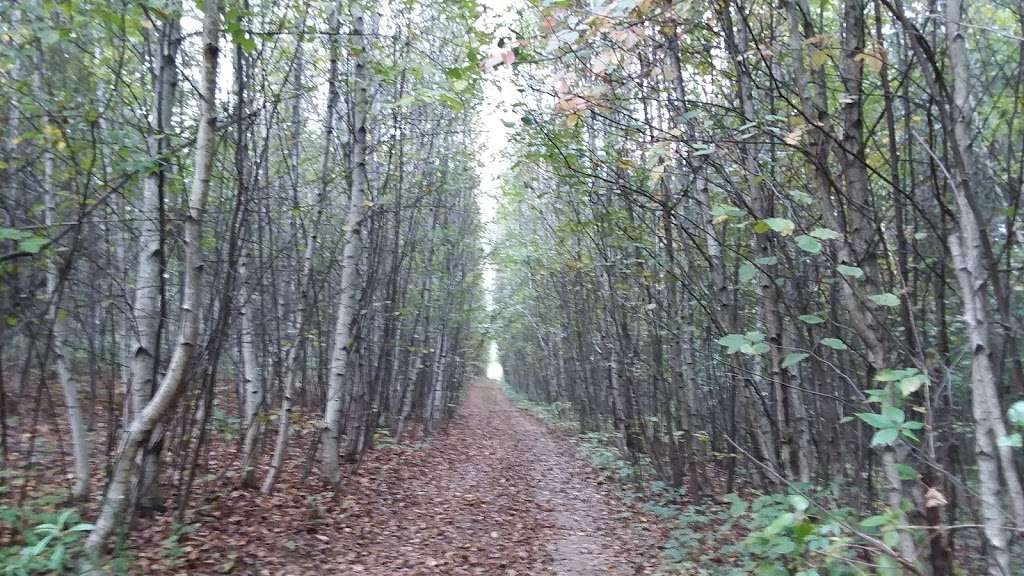 Pochuck Mountain State Forest | Pine Island, NY 10969