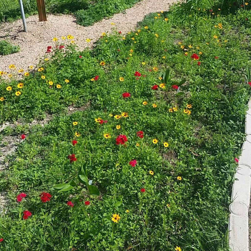 Houston Wilderness Wildflower Garden | 170-, 550 Westcott St, Houston, TX 77007, USA