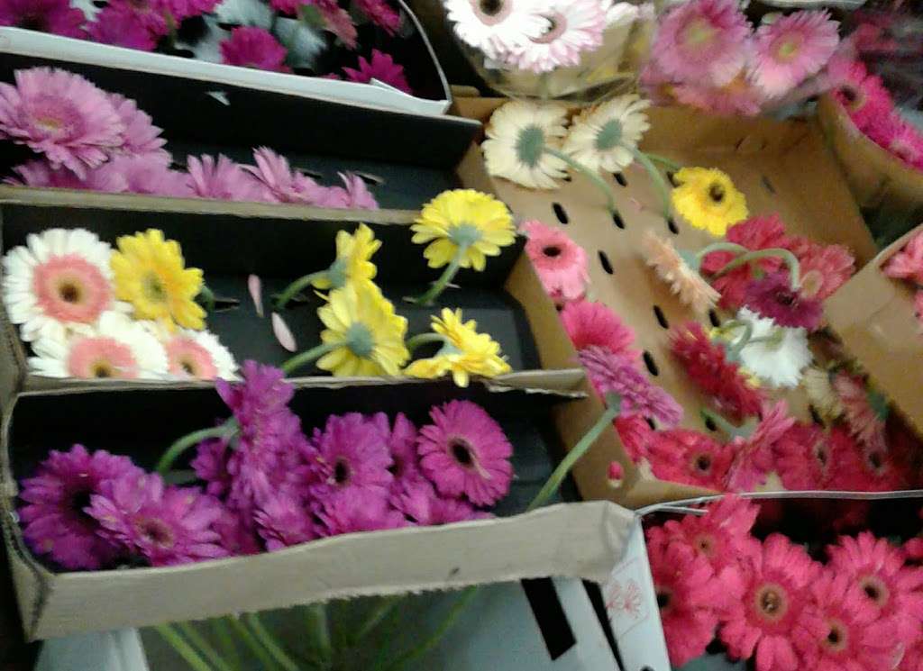 Greenleaf Wholesale Florists | 2777 Irving Blvd # 100, Dallas, TX 75207, USA | Phone: (214) 631-7949