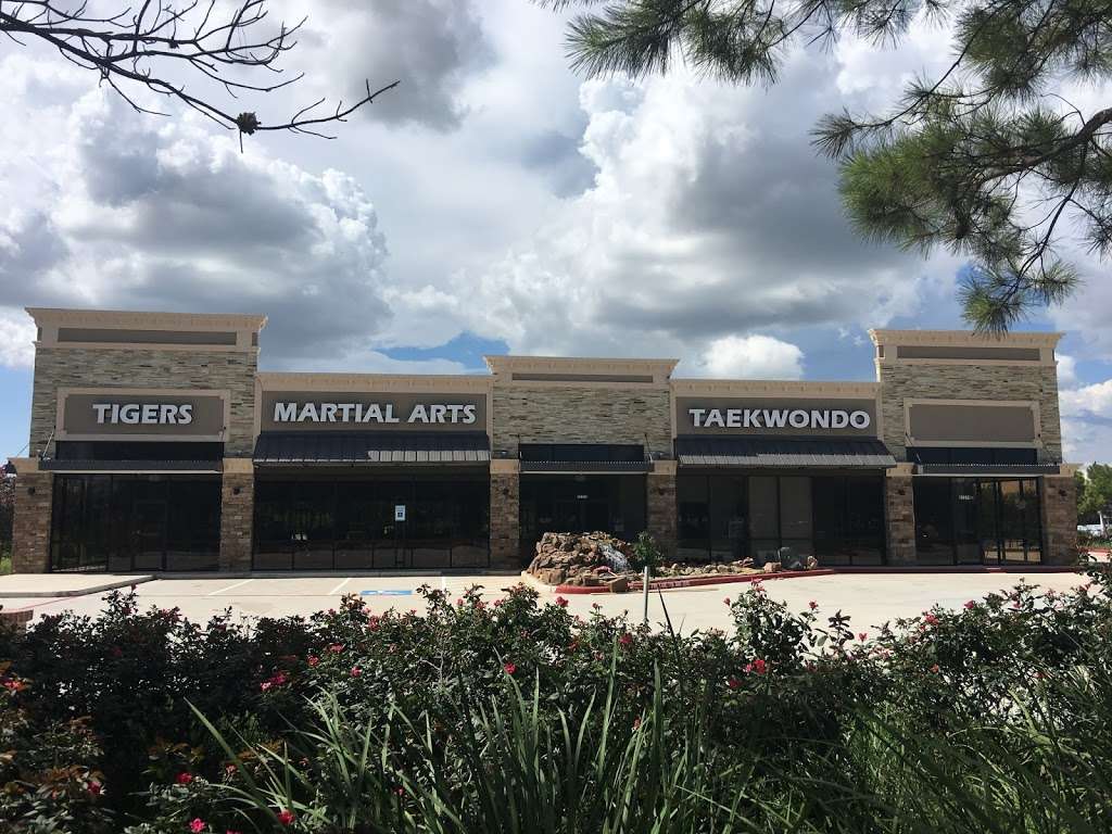 Tigers Martial Arts Group | 27278 Cinco Ranch Blvd, Katy, TX 77494, USA | Phone: (281) 929-8888
