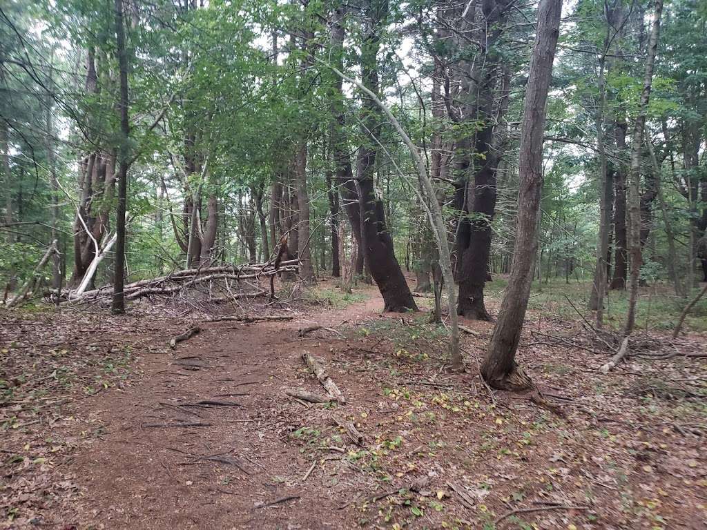 Little River Trail | Hale St, Newburyport, MA 01950, USA