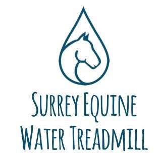 Surrey Equine Water Treadmilll | Horley, Horse Hill, Reigate RH6 0HN, UK | Phone: 07808 400847