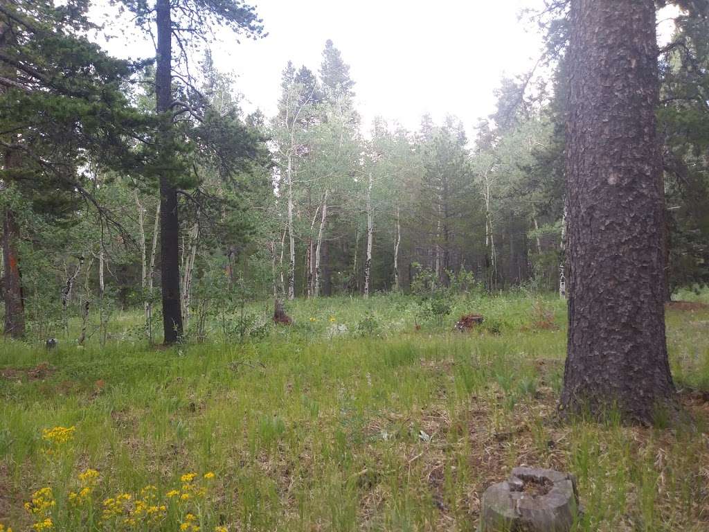 Meeker Park Overflow Campground | Forest Rd 121, Allenspark, CO 80510, USA