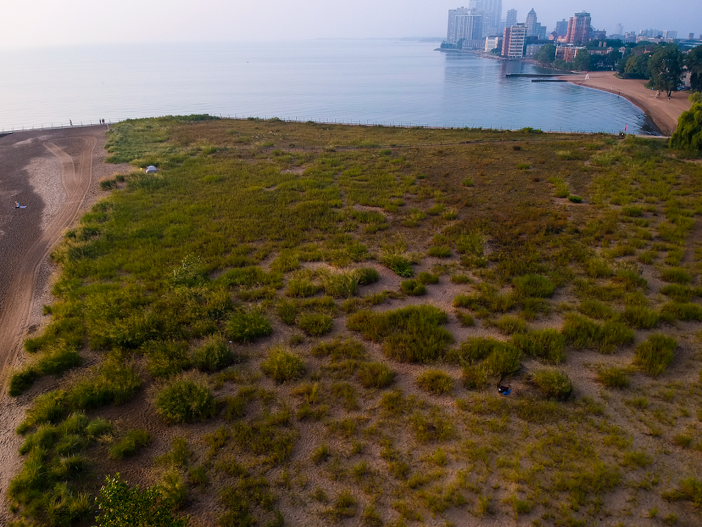 Loyola Dune Habitat | Chicago, IL 60626, USA