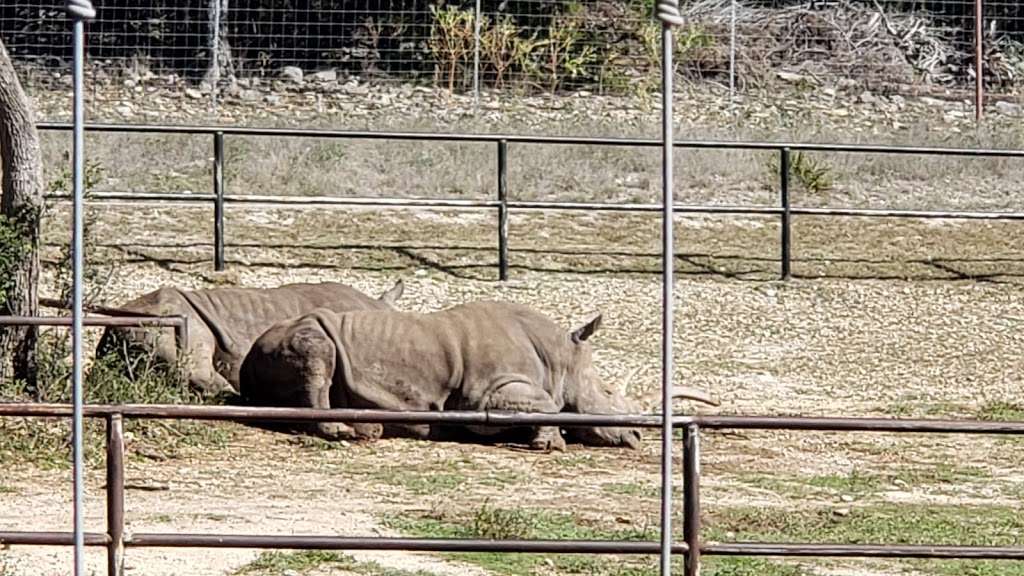 Natural Bridge Wildlife Ranch | 26515 Natural Bridge Caverns Rd, San Antonio, TX 78266, USA | Phone: (830) 438-7400