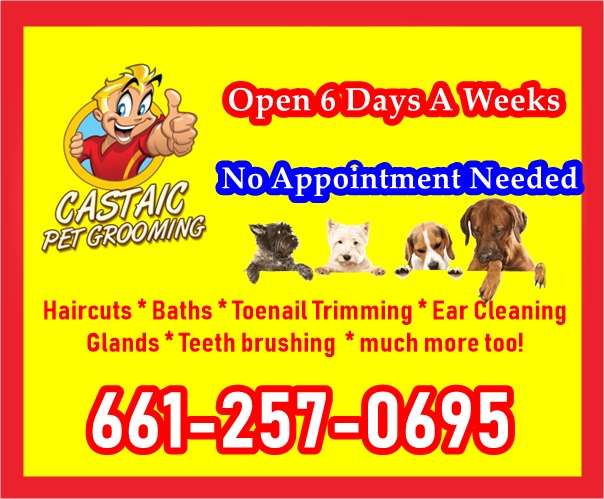 U-Wash Doggie & Full Pet Grooming | 29469 The Old Rd, Castaic, CA 91384 | Phone: (661) 257-0695