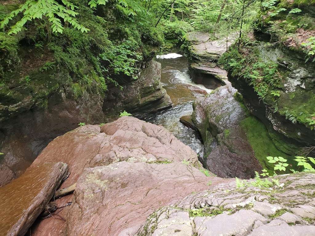 Evergreen Trail at Ricketts Glen | Benton, PA 17814