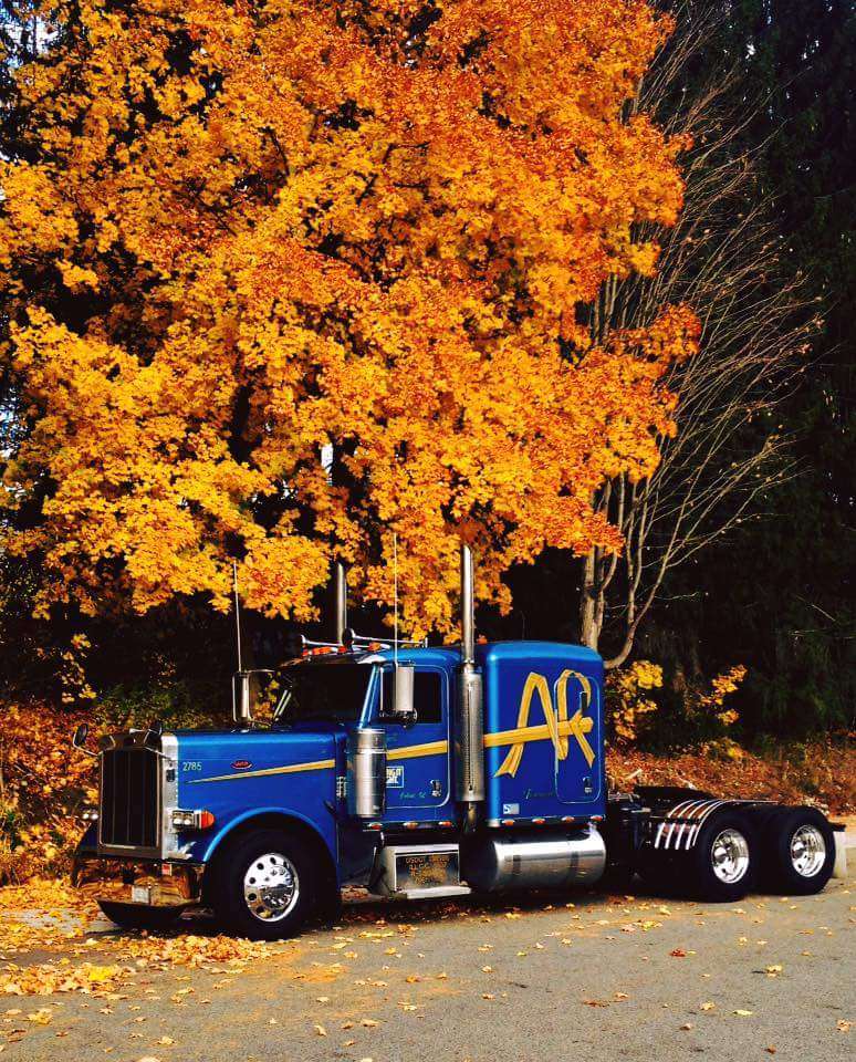 A&R Logistics Inc | 8440 Tabler Rd, Morris, IL 60450, USA | Phone: (800) 542-8058