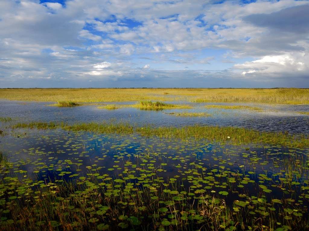 Everglades River of Grass Adventures | 17696 SW 8th St, Miami, FL 33194, USA | Phone: (305) 788-2418