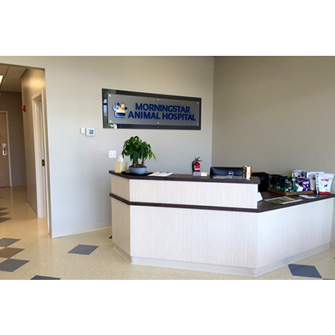 Morningstar Animal Hospital | 164 Summer St, Kingston, MA 02364, USA | Phone: (781) 936-8754